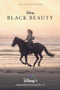 Matt Rippy in Black Beauty