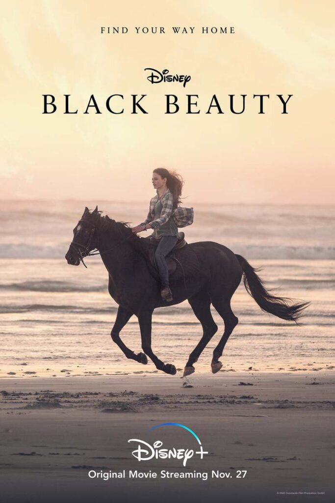 Matt Rippy in Black Beauty (2020)